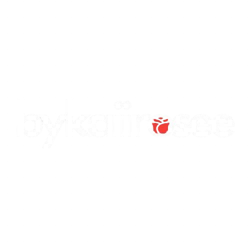 BYKAIIROSEE logo